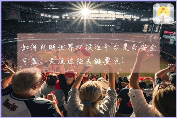 如何判断世界杯投注平台是否安全可靠？关注这些关键要点！