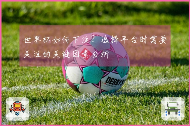 世界杯如何下注？选择平台时需要关注的关键因素分析