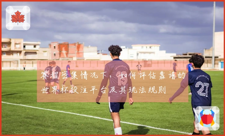 赛程密集情况下，如何评估靠谱的世界杯投注平台及其玩法规则