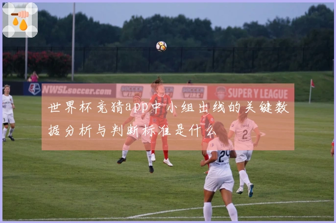 世界杯竞猜app中小组出线的关键数据分析与判断标准是什么