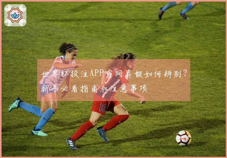 世界杯投注APP官网真假如何辨别？新手必看指南和注意事项