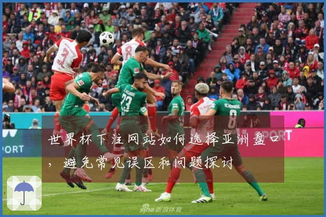 世界杯下注网站如何选择亚洲盘口，避免常见误区和问题探讨