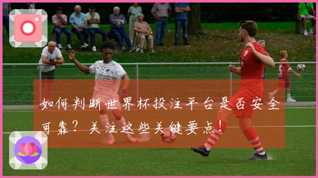 如何判断世界杯投注平台是否安全可靠？关注这些关键要点！