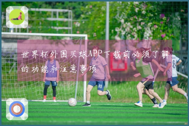 世界杯外围买球APP下载前必须了解的功能和注意事项