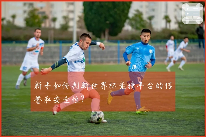 新手如何判断世界杯竞猜平台的信誉和安全性？