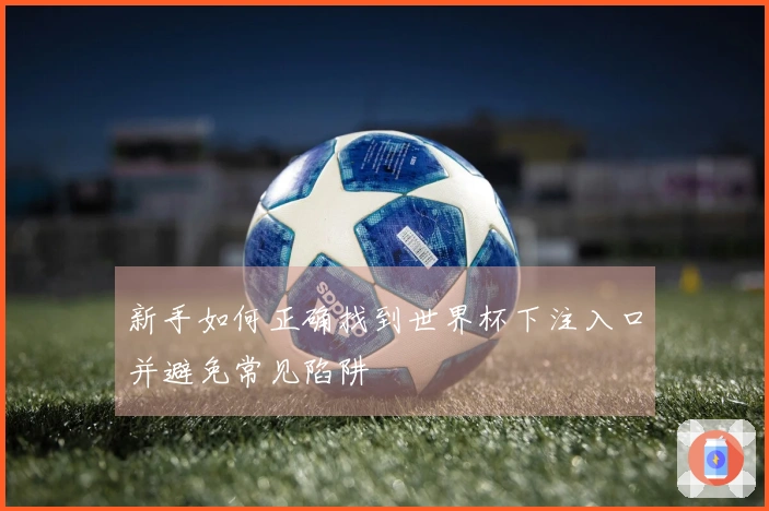 新手如何正确找到世界杯下注入口并避免常见陷阱