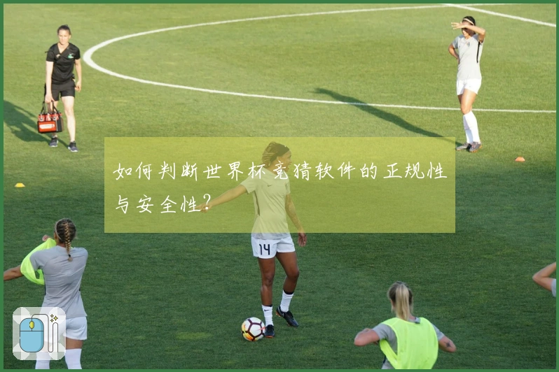 如何判断世界杯竞猜软件的正规性与安全性？