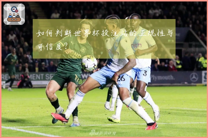 如何判断世界杯投注站的正规性与可信度？