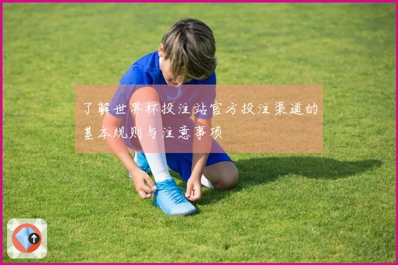 了解世界杯投注站官方投注渠道的基本规则与注意事项
