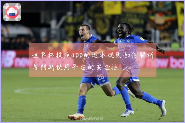 世界杯投注app的返水规则如何解析与判断使用平台的安全性