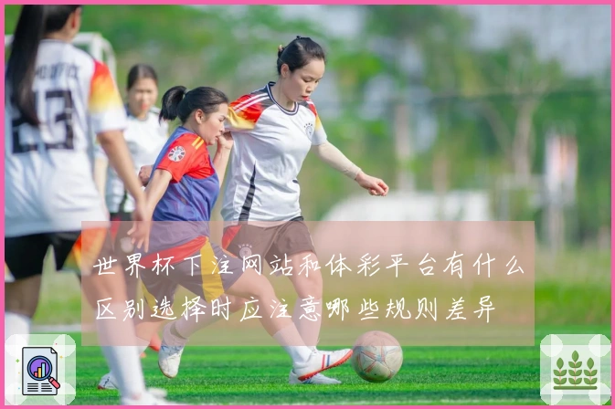 世界杯下注网站和体彩平台有什么区别选择时应注意哪些规则差异