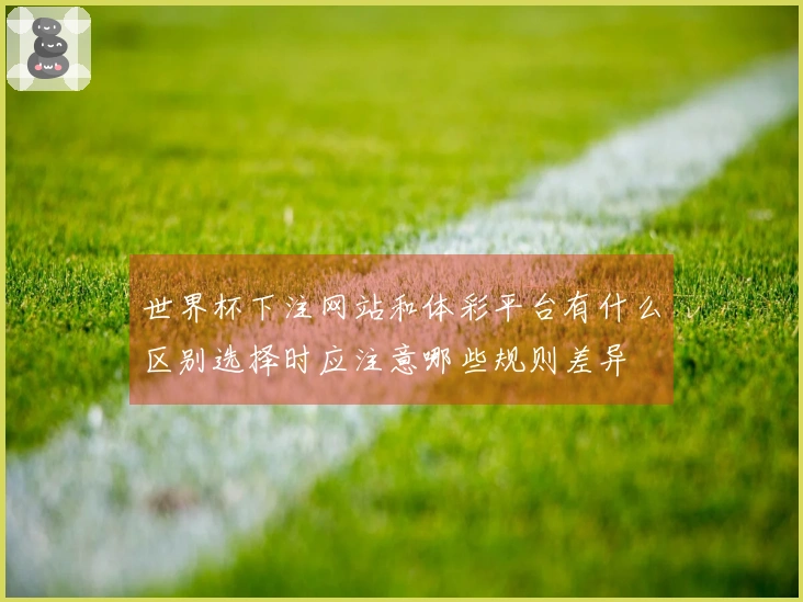 世界杯下注网站和体彩平台有什么区别选择时应注意哪些规则差异