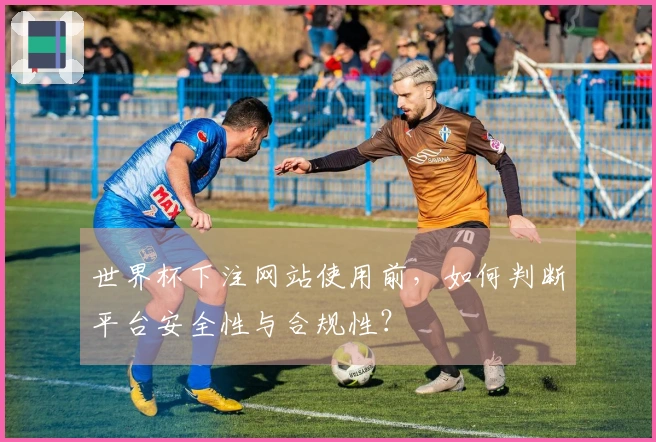 世界杯下注网站使用前，如何判断平台安全性与合规性？