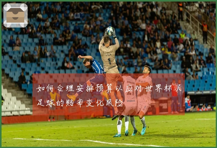 如何合理安排预算以应对世界杯买足球的赔率变化风险