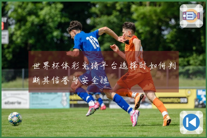 世界杯体彩竞猜平台选择时如何判断其信誉与安全性