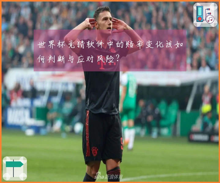 世界杯竞猜软件中的赔率变化该如何判断与应对风险？