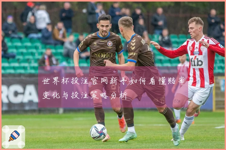 世界杯投注官网新手如何看懂赔率变化与投注策略分析