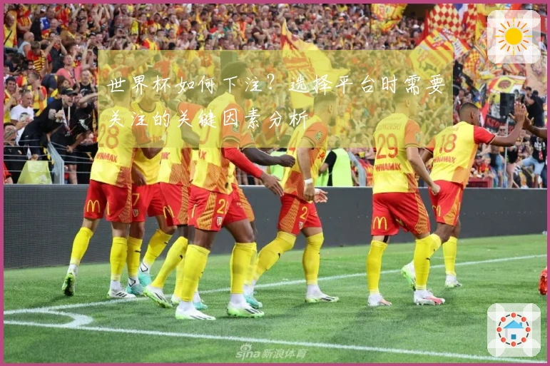 世界杯如何下注？选择平台时需要关注的关键因素分析