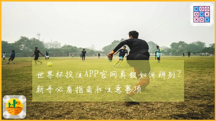 世界杯投注APP官网真假如何辨别？新手必看指南和注意事项