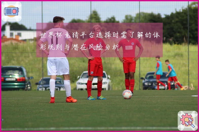 世界杯竞猜平台选择时需了解的体彩规则与潜在风险分析